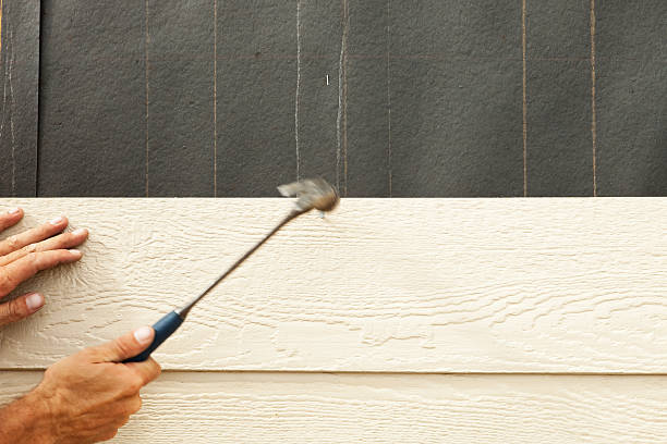 Best Historical Building Siding Restoration  in West Rancho Dominguez, CA