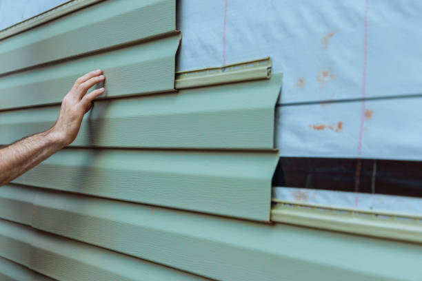 Best Custom Trim and Detailing for Siding  in West Rancho Dominguez, CA